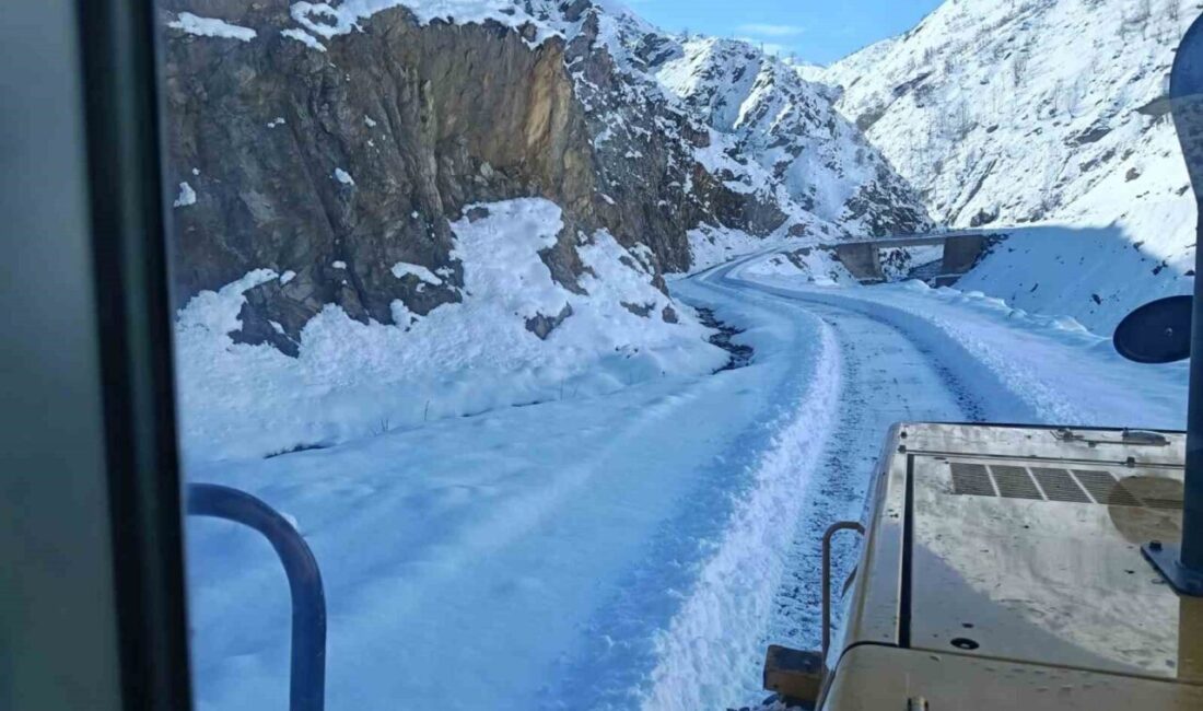 Bingöl’ün Solhan ilçesinde etkili olan yoğun kar yağışı nedeniyle ulaşıma
