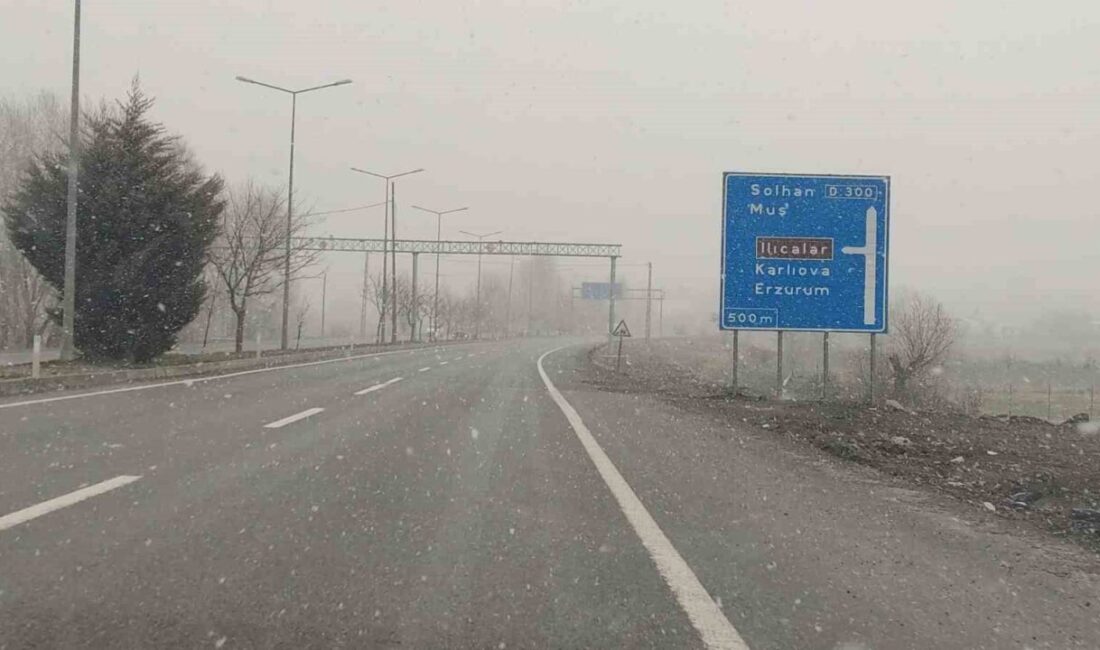 Meteorolojinin uyarı verdiği Bingöl’de kar yağışı tekrar başladı. Meteoroloji 13.
