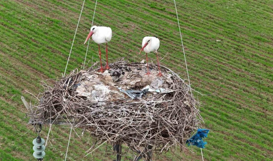Diyarbakır’ın Bismil ilçesinden geçen Dicle Nehri, yaklaşık 5 bin kilometre