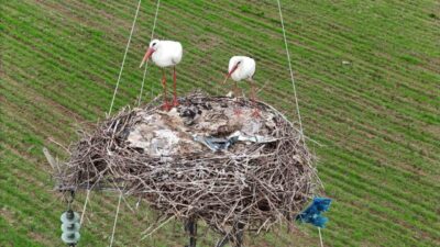 Diyarbakır’ın Bismil ilçesinden geçen Dicle Nehri, yaklaşık 5 bin kilometre