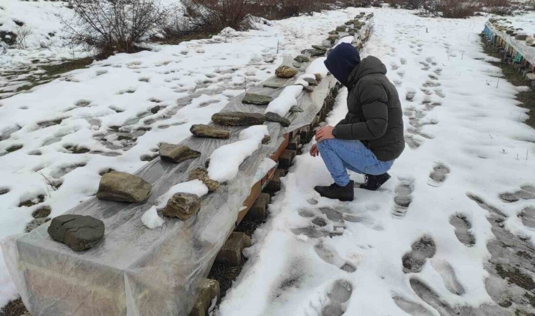 BATMAN (İHA) – Batman’da arıcı Heybet Şahin Türkiye birinciliği ödülünü