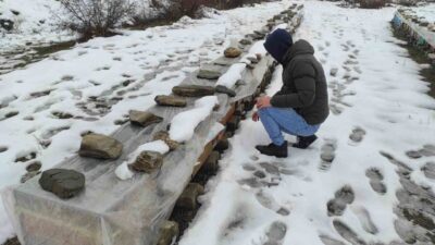 BATMAN (İHA) – Batman’da arıcı Heybet Şahin Türkiye birinciliği ödülünü