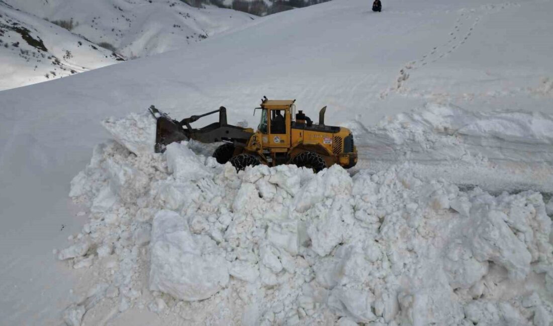 Bitlis merkeze bağlı Yukarı Karaboy köy yolunda yer yer 5