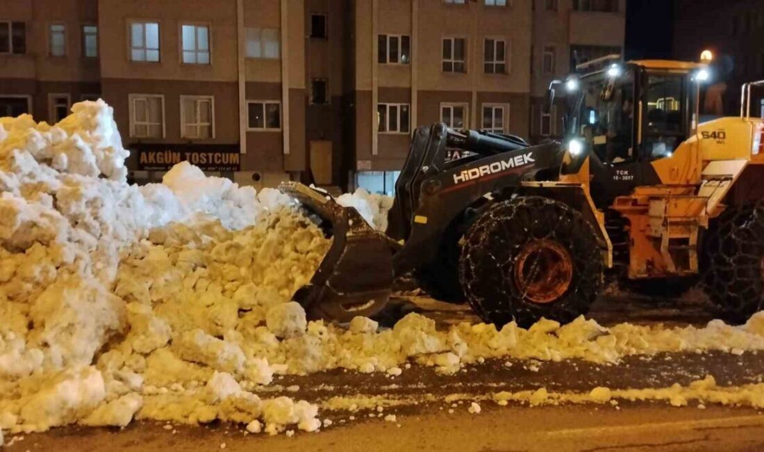 Bitlis’te etkili olan yoğun kar yağışının ardından karla mücadele çalışmaları