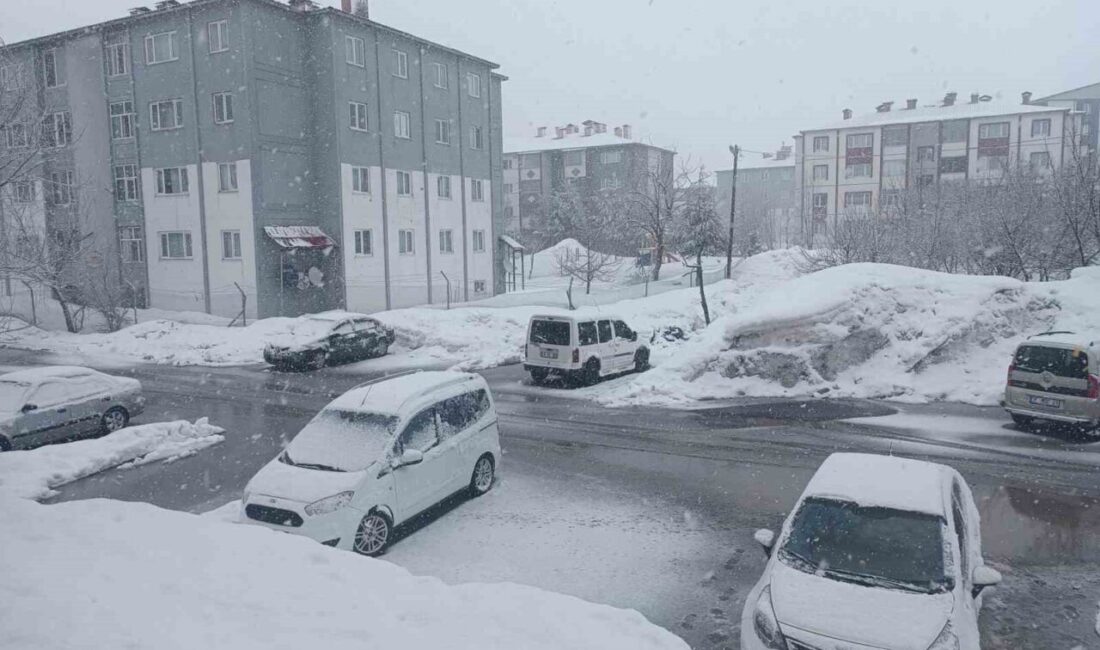 Bitlis’te Mart ayının bitmesine sayılı günler kala başlayan kar yağışı