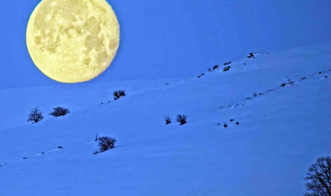 Bitlis’te karlı dağlarla bütünleşen ay manzarası mest etti. Bitlis semalarında
