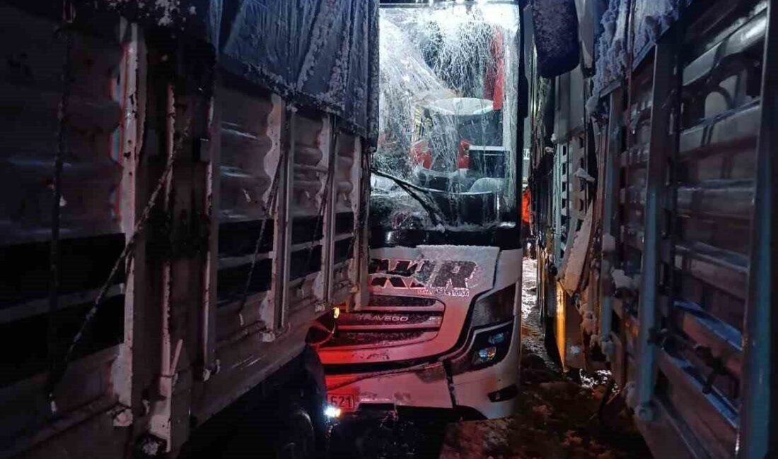 Bitlis-Baykan karayolunda gece saatlerinde meydana gelen trafik kazasında yolcu otobüsü,