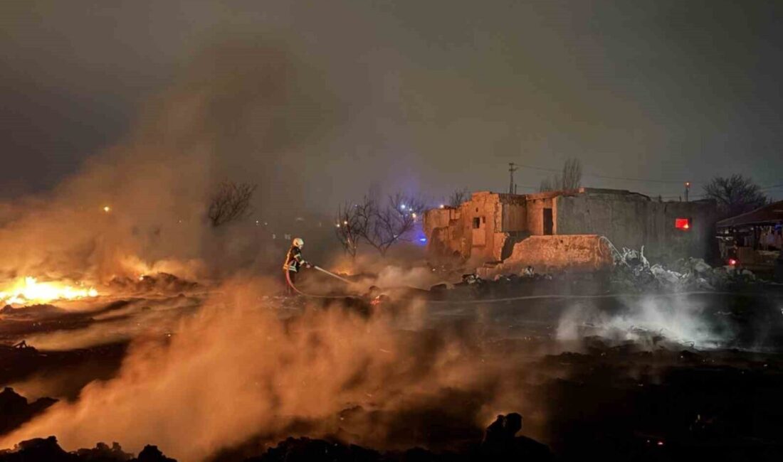 Kayseri’nin Kocasinan ilçesinde bulunan boş bir arazide atık maddelerden çıkan