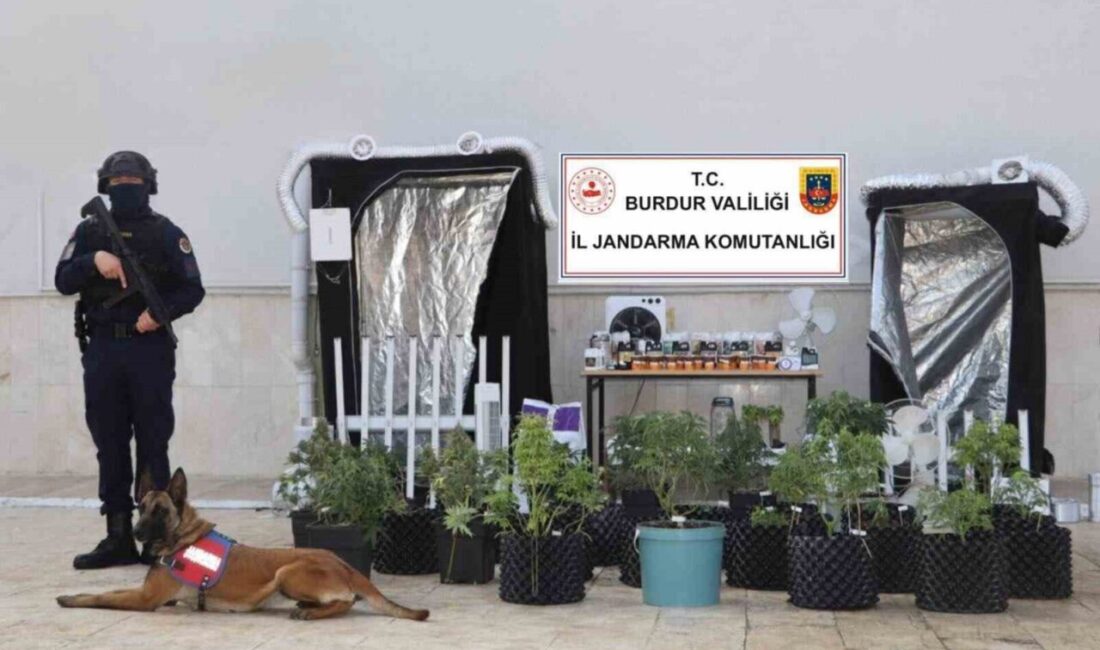 Burdur’da jandarma ekipleri tarafından bir eve yapılan operasyonda 54 kök
