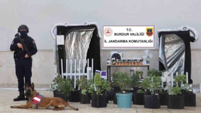 Burdur’da jandarma ekipleri tarafından bir eve yapılan operasyonda 54 kök