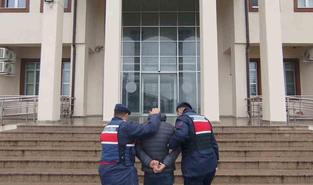 Bursa’dan Çanakkale’ye uyuşturucu madde getireceği öğrenilen şüpheli, Çanakkale’de jandarma ekiplerince