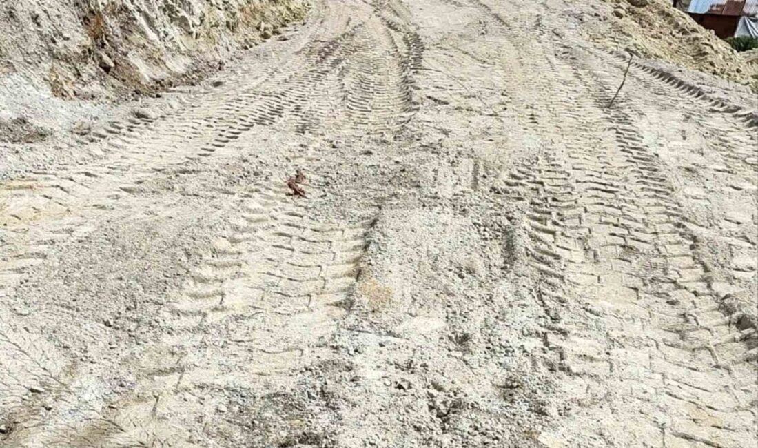 Çameli Belediyesi Fen İşleri ekipleri, Kirazlıyayla Mahallesi’nde yaşayan iki engelli