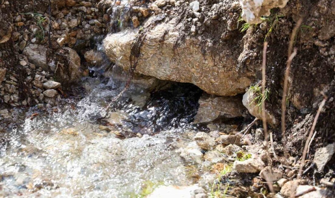 Denizli’nin Çameli ilçesinde etkili olan yoğun yağışların ardından birçok noktada