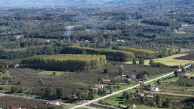 Samsun’un Çarşamba ilçesinde gerçekleştirilen meyve üretiminde fındık, birinci sırada yerini