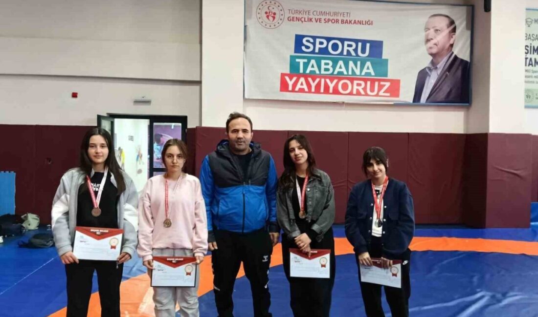 Van’da gerçekleştirilen Okul Sporları Gençler Güreş İl Birinciliği müsabakalarında Çatak