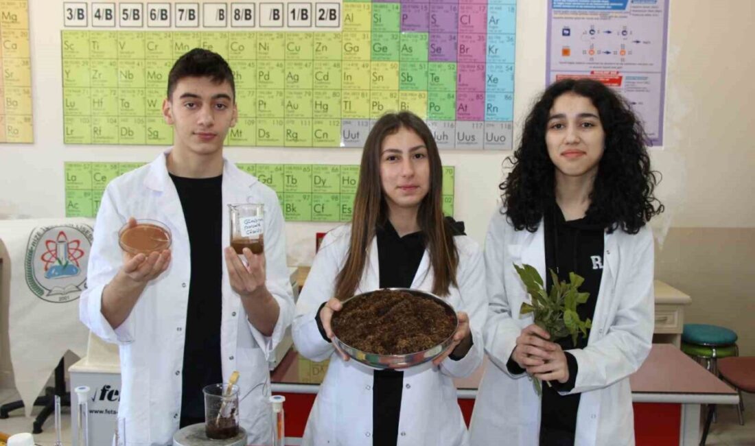Rize TOBB Fen Lisesi öğrencileri çay atığından yüzde 100’e yakın