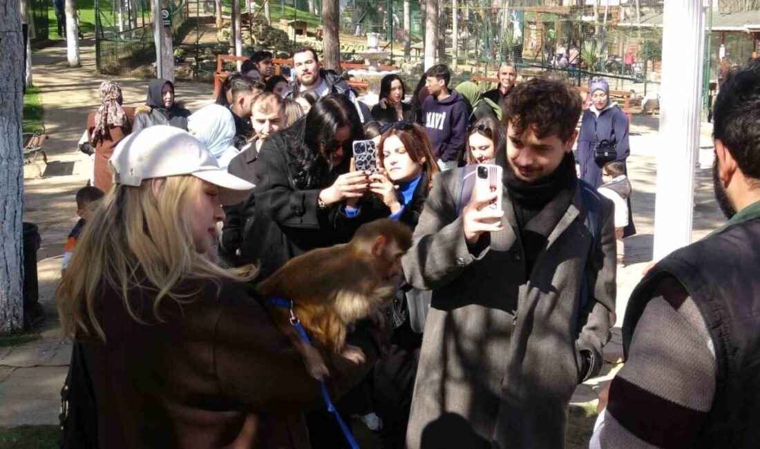 Çekmeköy Park of İstanbul Hayvanat Bahçesi ve Rehabilitasyon Merkezi, 8