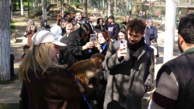 Çekmeköy Park of İstanbul Hayvanat Bahçesi ve Rehabilitasyon Merkezi, 8