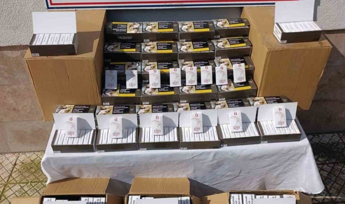 Aydın’ın Çine ilçesi girişinde durdurulan bir araçtan 55 bin adet