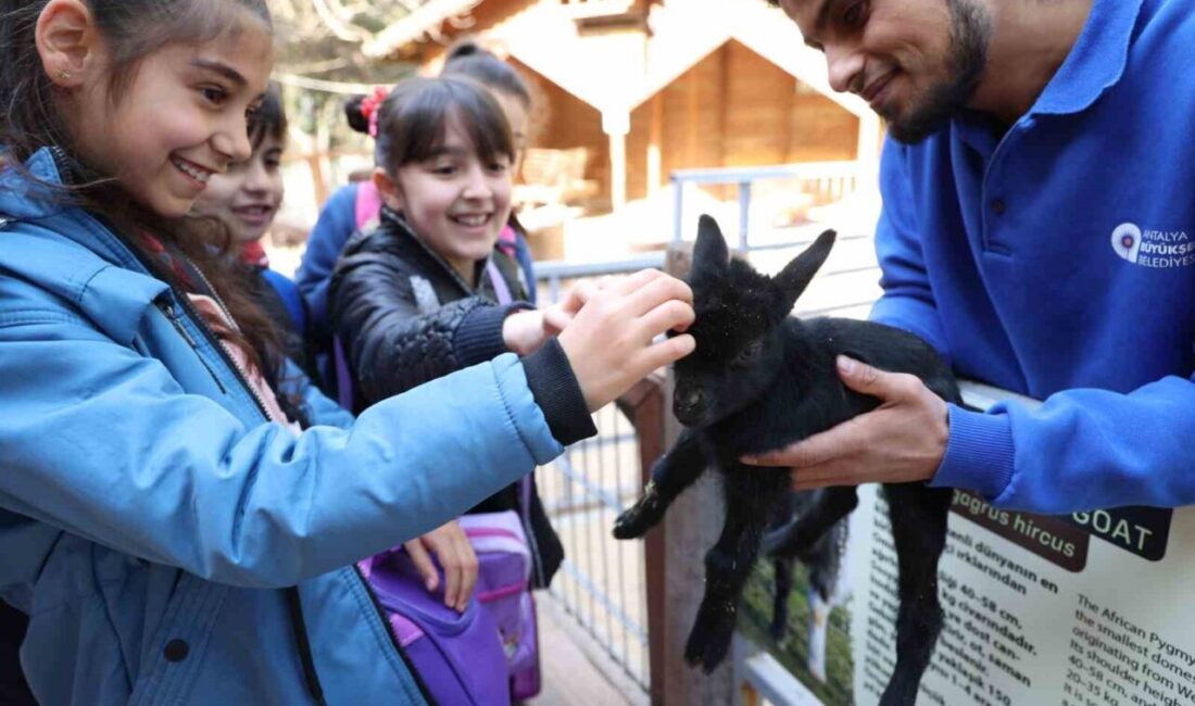Antalya Büyükşehir Belediyesi, 3 Mart Dünya Yaban Hayatı Günü etkinliklere