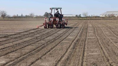 Adana’da son yıllarda etkili olan kuraklık sonrası çiftçiler, bölgede etkili