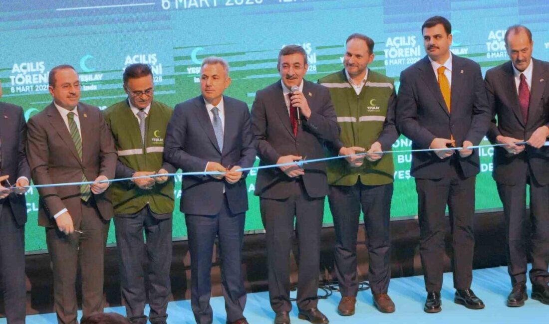 Cumhurbaşkanı Yardımcısı Cevdet Yılmaz, bağımlılıkların Türkiye ekonomisine yıllık maliyetinin 78