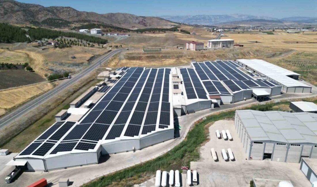 CW Enerji, 6 milyon 708 bin 95 kWp kurulu güce