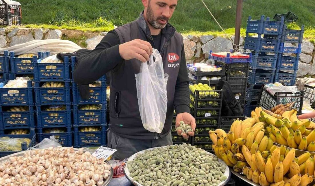 Datça’nın meşhur bademinin ilk hasadı olan çağla, Yatağan Çarşamba Pazarı’nda