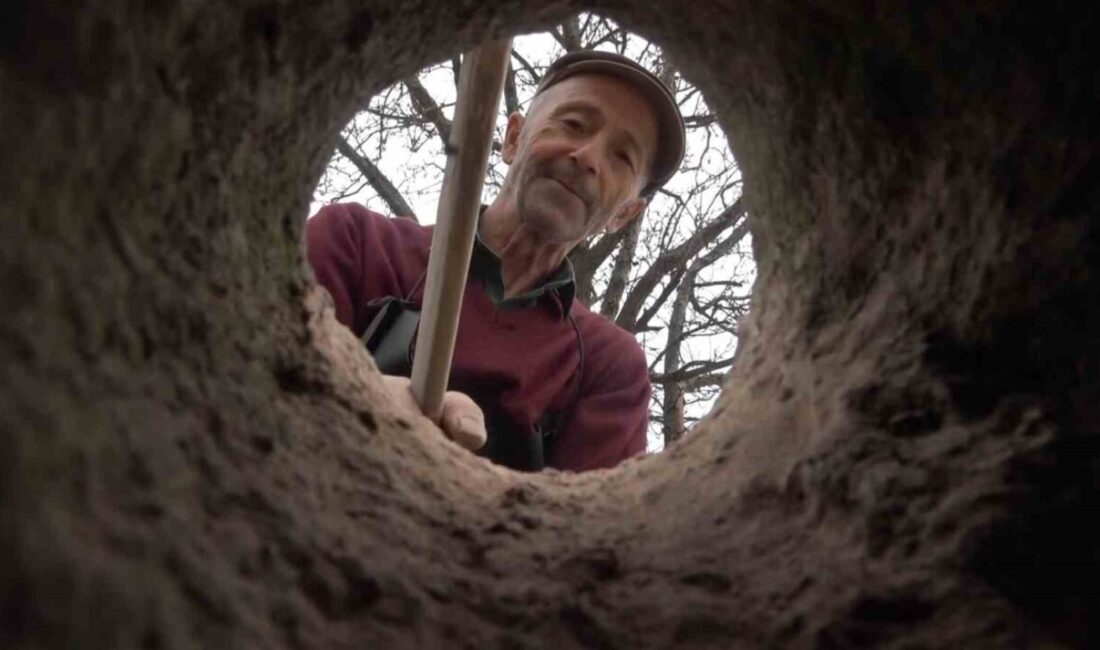 Giresun’un Espiye ilçesine bağlı Soğukpınar beldesinde yaşayan 61 yaşındaki Bayram