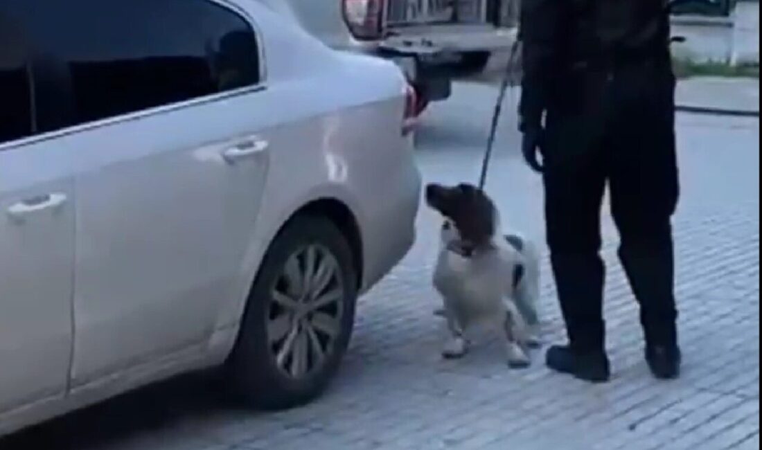 Denizli’de Narkotik ekiplerinin düzenlediği operasyonda il dışından getirildiği değerlendirilen 2