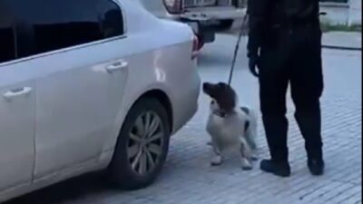 Denizli’de Narkotik ekiplerinin düzenlediği operasyonda il dışından getirildiği değerlendirilen 2