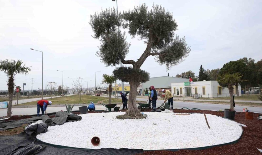 Didim’de kent estetiğini güçlendirmeye yönelik çalışmalar, Didim Belediyesi tarafından aralıksız