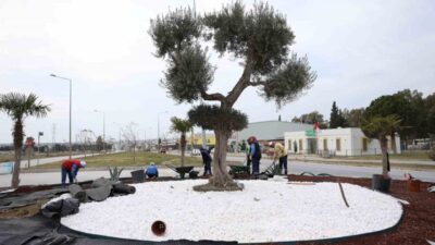 Didim’de kent estetiğini güçlendirmeye yönelik çalışmalar, Didim Belediyesi tarafından aralıksız