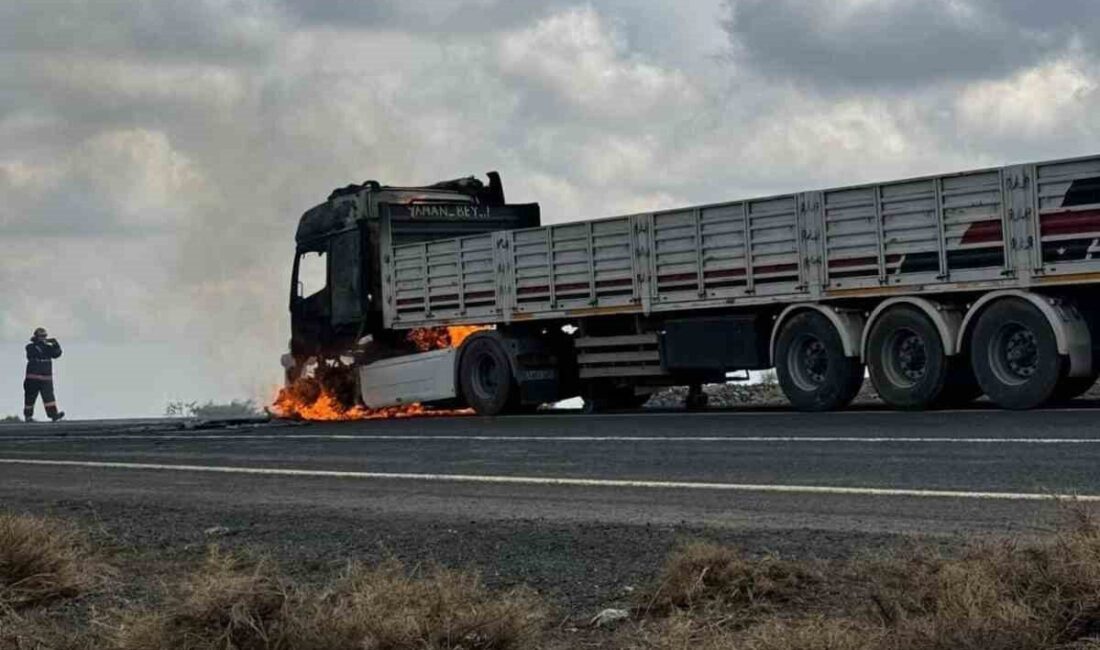 Diyarbakır’ın Çınar ilçesinde seyir halindeki tır alev adı. Olayda ölen