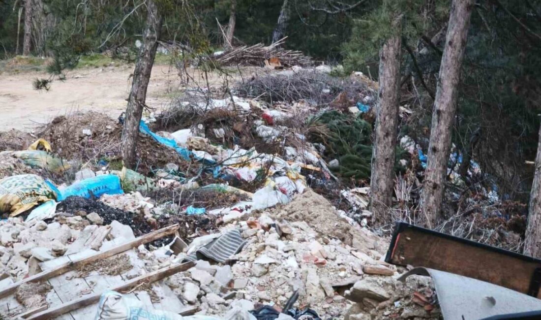 Denizli’nin Buldan ilçesine bağlı Kovanoluk Mahallesi girişinde bulunan orman yoluna