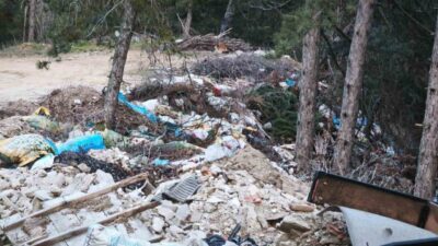 Denizli’nin Buldan ilçesine bağlı Kovanoluk Mahallesi girişinde bulunan orman yoluna