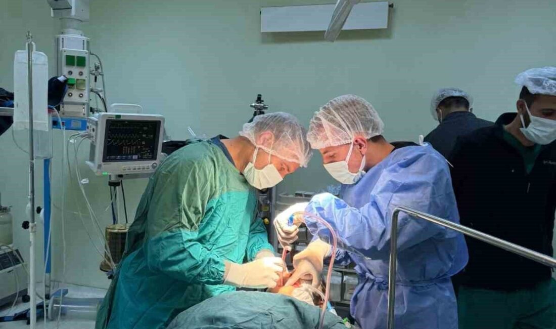 Doğubayazıt Devlet Hastanesi ile Doğubayazıt Ağız ve Diş Sağlığı Merkezi