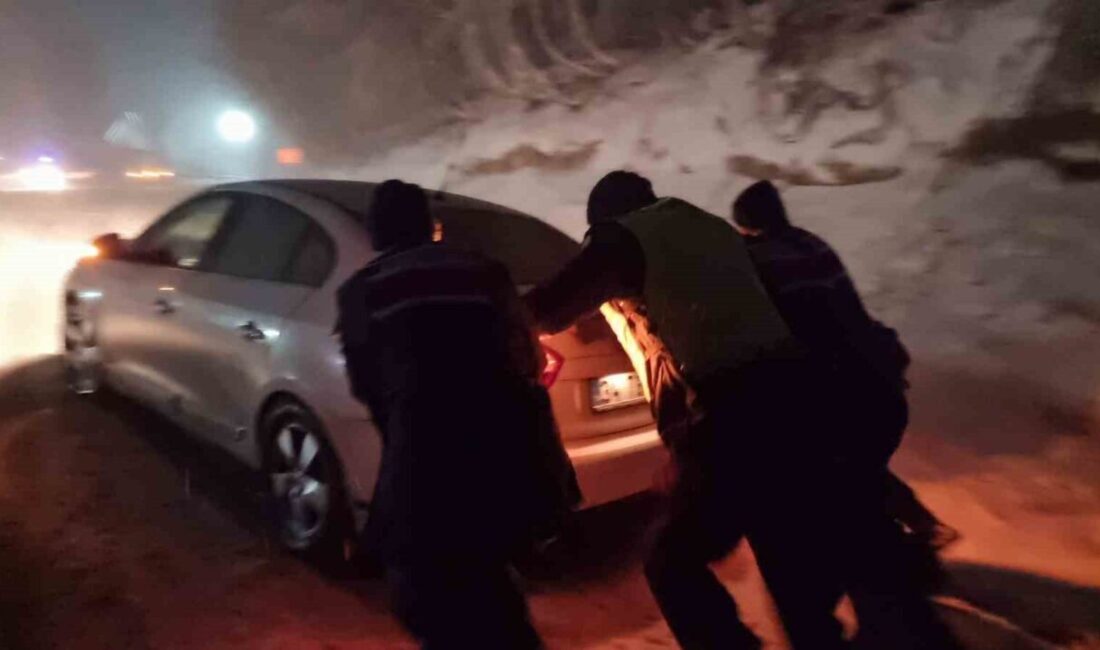 Kütahya’nın Domaniç ilçesinde etkili olan kar yağışı, yüksek kesimlerde hayatı