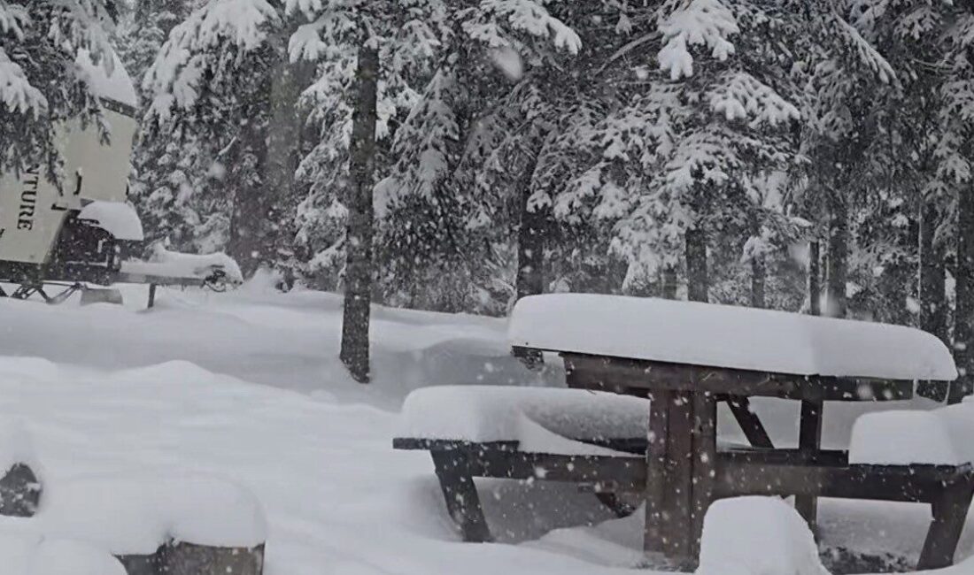 Düzce’nin yüksek kesimlerinde dün gece saatlerinde etkili olan sağanak yağış,