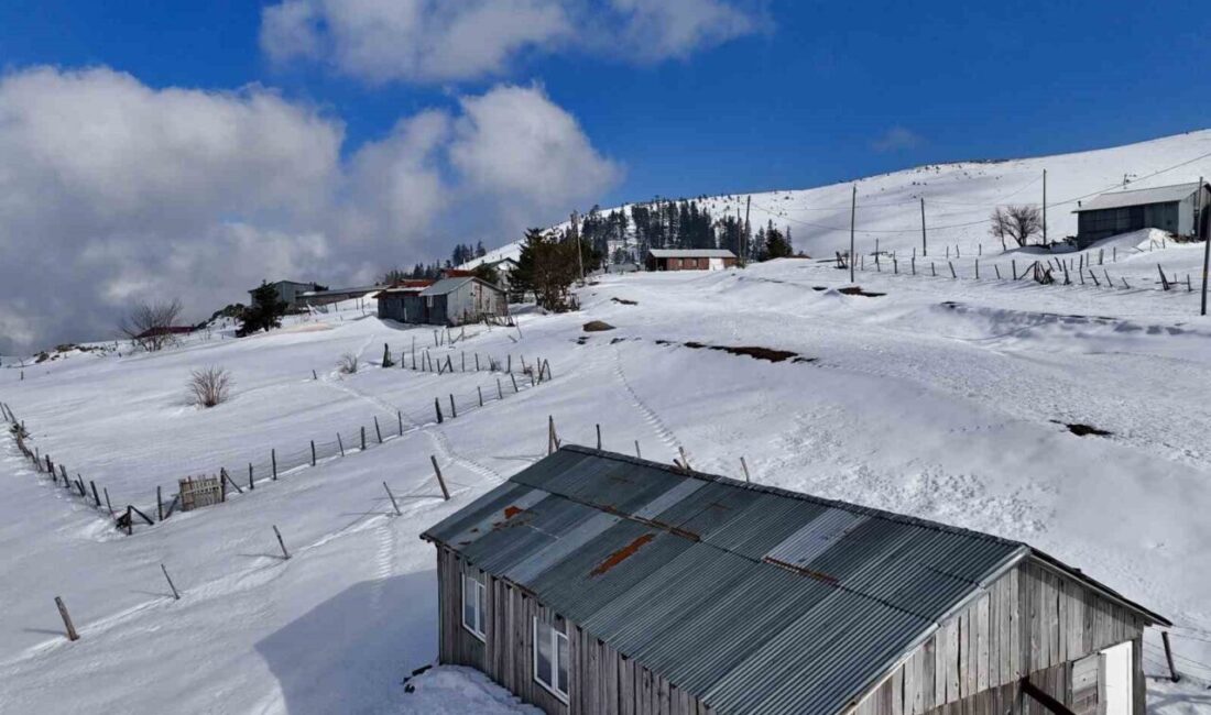 DÜZCE(İHA) – Düzce’de karla kaplı bin 800 rakımlı Kardüz Yaylası
