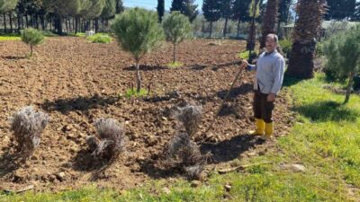 Balıkesir Üniversitesi, Edremit Meslek Yüksekokulu bahçesinde kurulması planlanan lavanta bahçesi