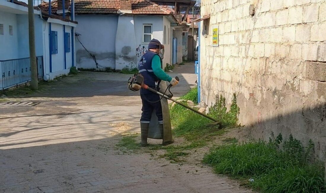 Efeler Belediyesi Park ve Bahçeler Müdürlüğü ekipleri, ilçe genelindeki bakım