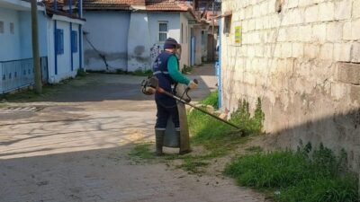 Efeler Belediyesi Park ve Bahçeler Müdürlüğü ekipleri, ilçe genelindeki bakım