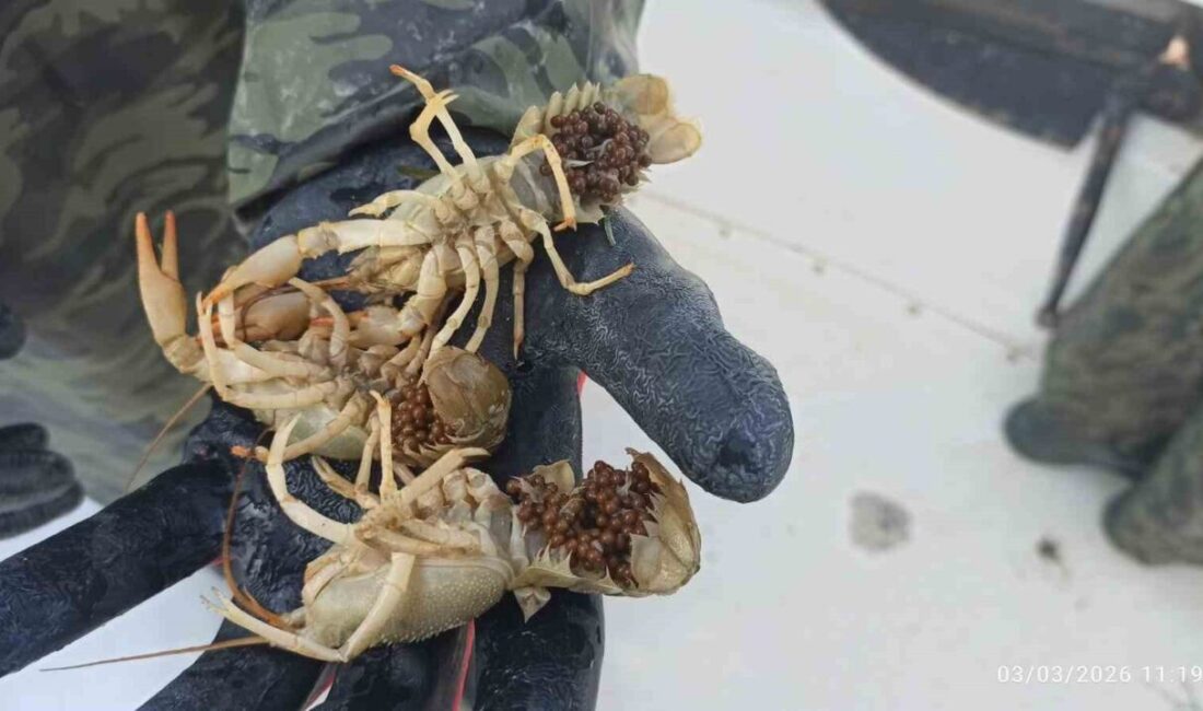 Eğirdir İlçe Tarım ve Orman Müdürlüğü Su Ürünleri Kontrol ekipleri