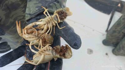 Eğirdir İlçe Tarım ve Orman Müdürlüğü Su Ürünleri Kontrol ekipleri