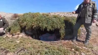 Elazığ Doğa Koruma ve Milli Parklar (DKMP) Müdürlüğü ekipleri tarafından