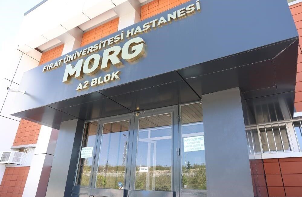 Elazığ’da motosikletin çarptığı 40 yaşındaki kadın hayatını kaybetti. Kaza, Şehit