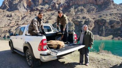 Elazığ’ın Keban ilçesinde yaralı dağ keçi için ekipler seferber oldu.