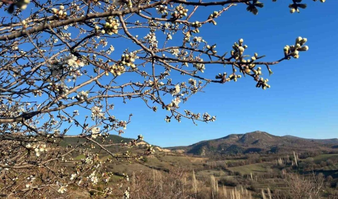 Kütahya’nın Emet ilçesine bağlı Sülye köyünde, hava sıcaklıklarının mevsim normallerinin