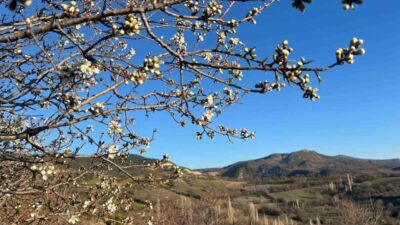 Kütahya’nın Emet ilçesine bağlı Sülye köyünde, hava sıcaklıklarının mevsim normallerinin